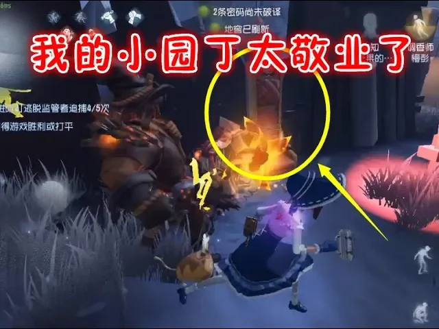 第五人格: 芒果为了梦想狂拆椅子,监管气得把小粉丝放血,好惨!